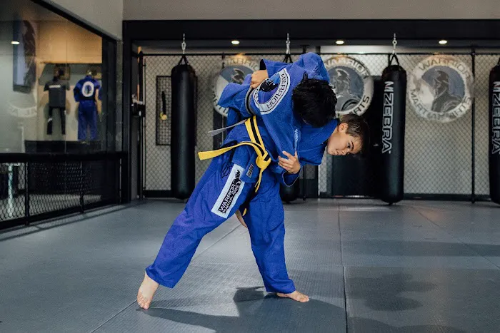 Warrior Martial Arts Academy Plano Picture 5