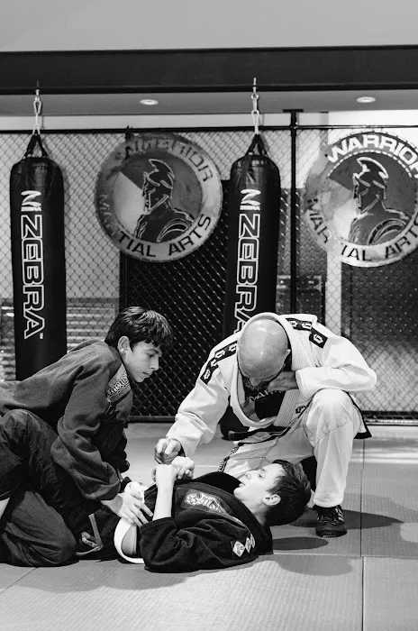 Warrior Martial Arts Academy Plano Picture 7