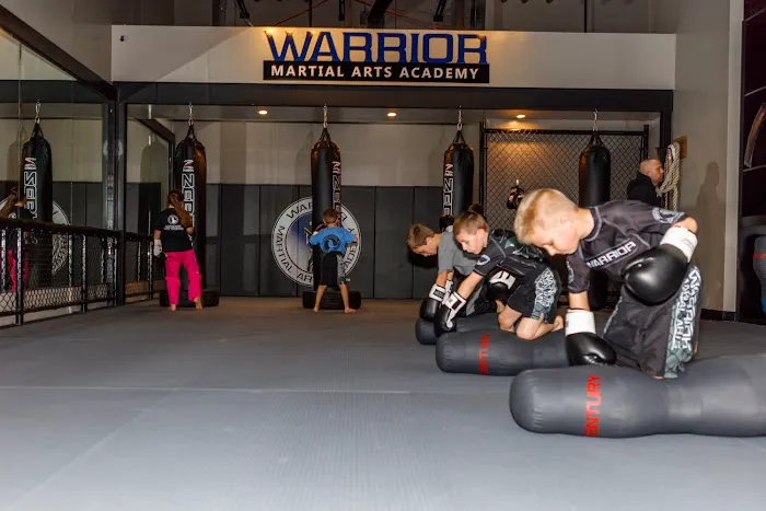 Warrior Martial Arts Academy Plano Picture 3