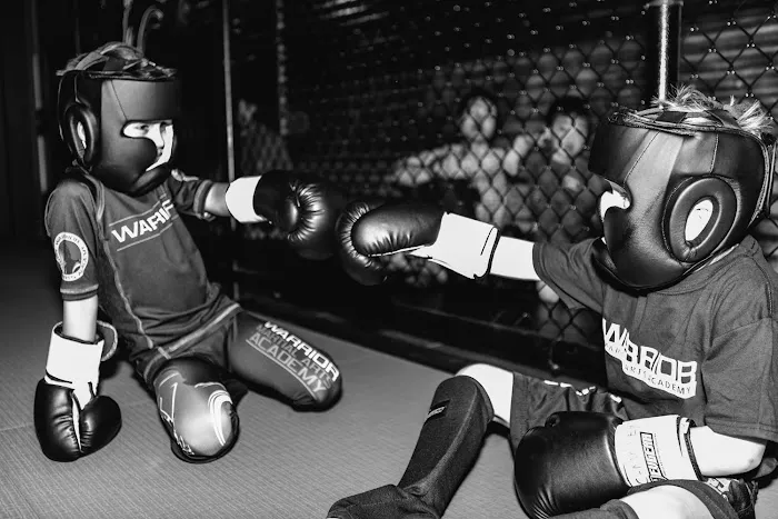 Warrior Martial Arts Academy Plano Picture 8