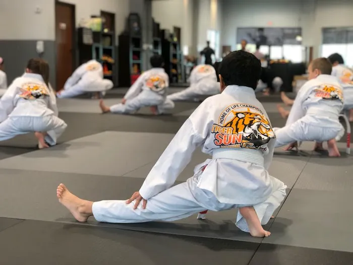 TIGER SUN MARTIAL ARTS FRISCO / KARATE TAEKWONDO Picture 1