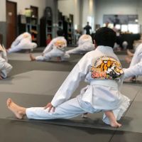 TIGER SUN MARTIAL ARTS FRISCO / KARATE TAEKWONDO ico
