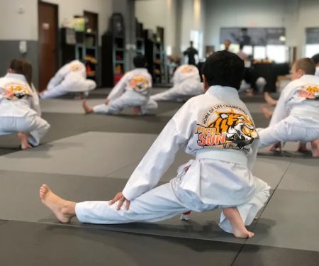 TIGER SUN MARTIAL ARTS FRISCO / KARATE TAEKWONDO
