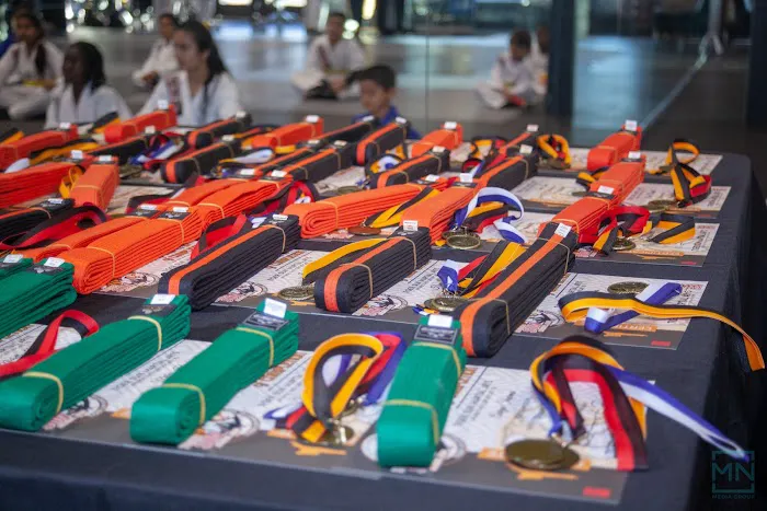 TIGER SUN MARTIAL ARTS FRISCO / KARATE TAEKWONDO Picture 2