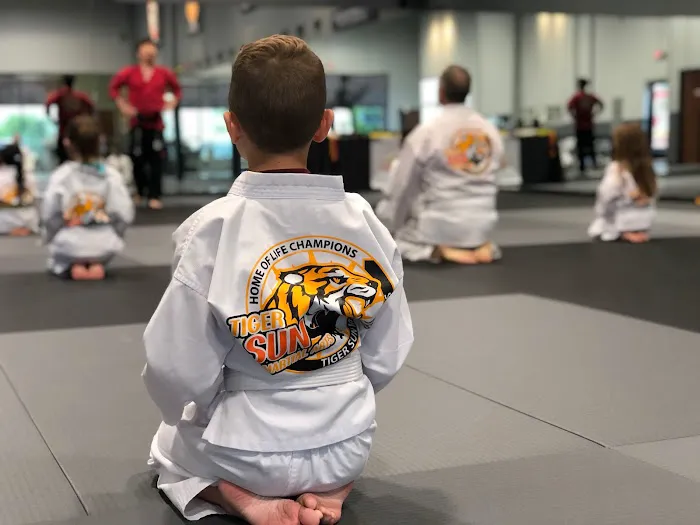 TIGER SUN MARTIAL ARTS FRISCO / KARATE TAEKWONDO Picture 6