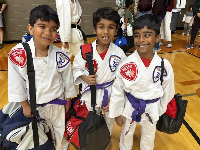 Frisco Taekwondo America Picture 1