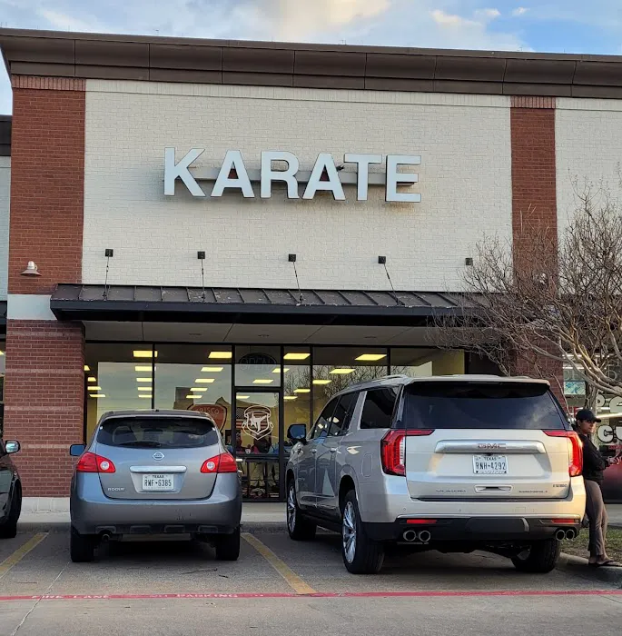 Frisco Taekwondo America Picture 4