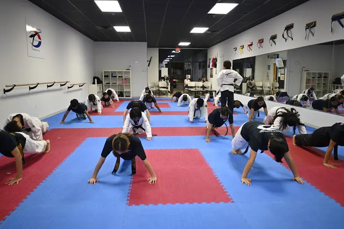 World Champion TaeKwonDo Picture 1