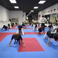 World Champion TaeKwonDo ico