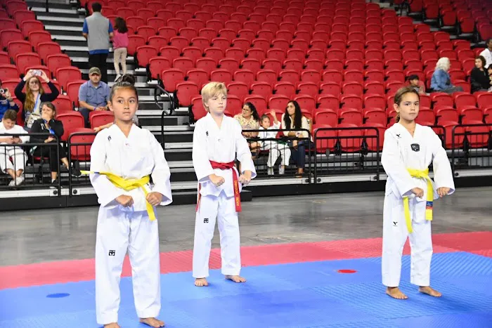 World Champion TaeKwonDo Picture 6