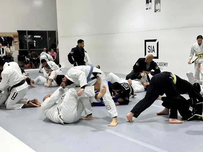 Sharpen Iron Academy - SIA Picture 4