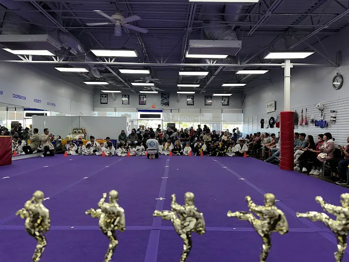 Top Kick Martial Arts Plano TX Picture 1