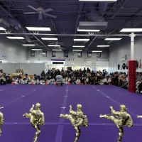Top Kick Martial Arts Plano TX ico