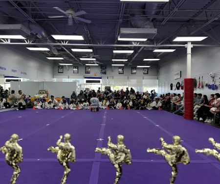 Top Kick Martial Arts Plano TX