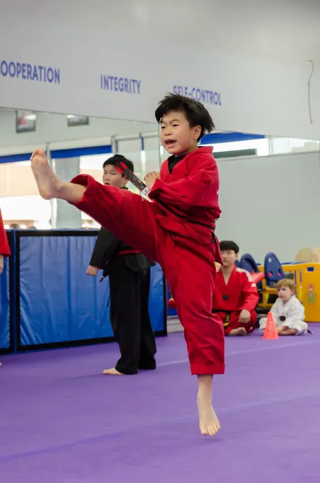 Top Kick Martial Arts Plano TX Picture 4