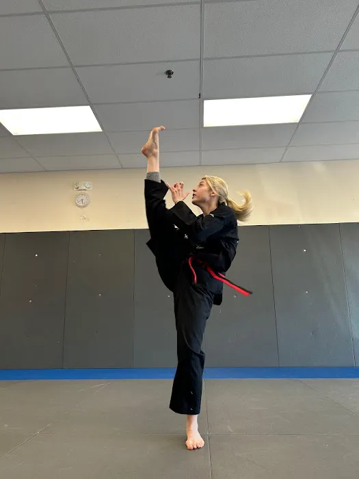 Top Kick Martial Arts Plano TX Picture 8