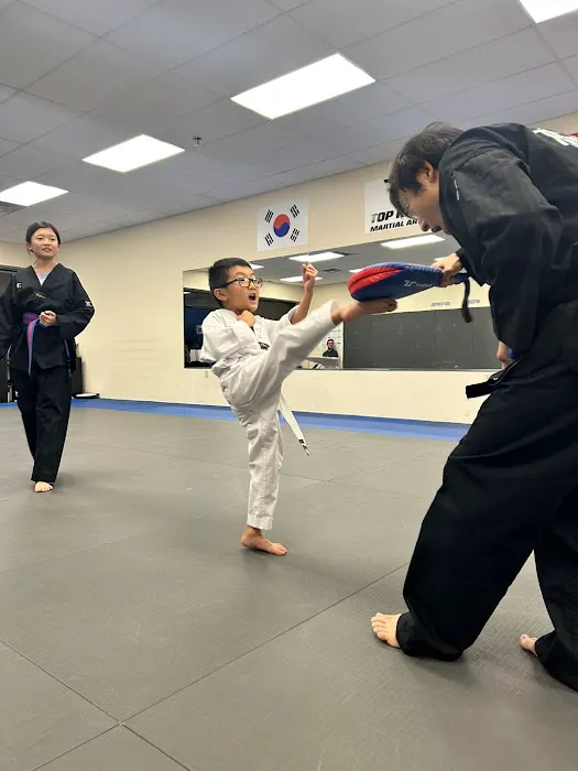 Top Kick Martial Arts Plano TX Picture 9