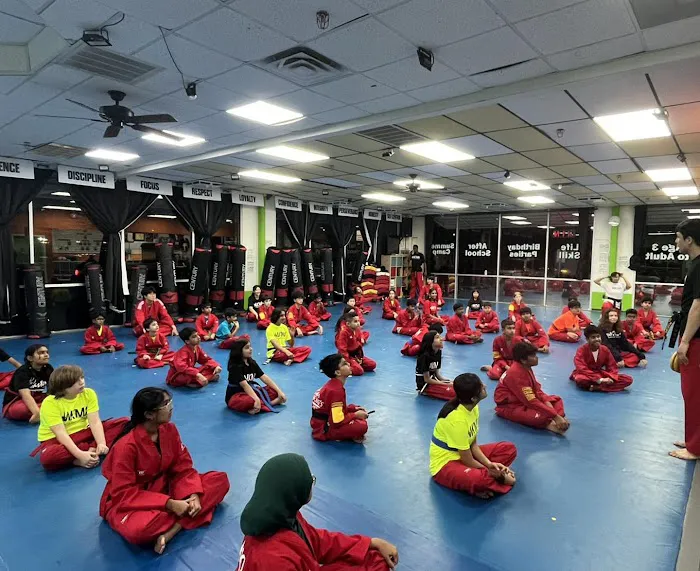 Master Kang's Martial Arts Plano Picture 6