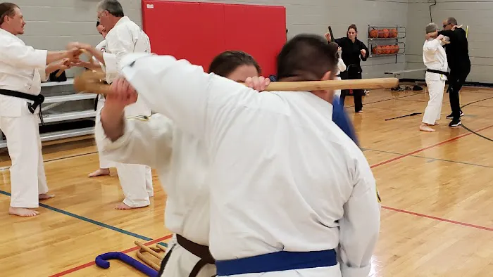 DMD Tae Kwon Do LLC Picture 1