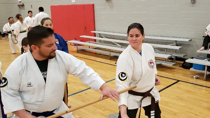 DMD Tae Kwon Do LLC Picture 3