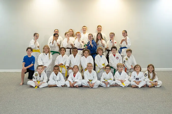 DMD Tae Kwon Do LLC Picture 2