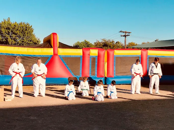 Master H Kim's World Class Tae Kwon Do Picture 6