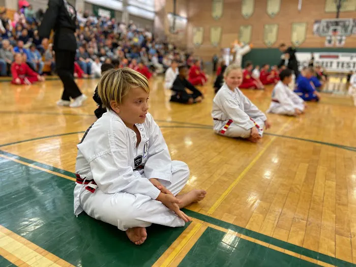 Master H Kim's World Class Tae Kwon Do Picture 9