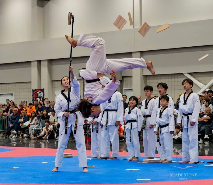 Two Gold TaeKwonDo McKinney Picture 2