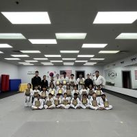 Two Gold TaeKwonDo McKinney ico