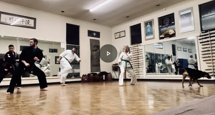 Denton Academy of Martial Arts Picture 4