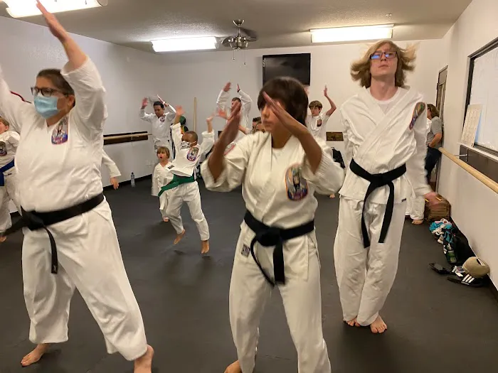 Texas Isshinryu Karate Kai of Denton Picture 1