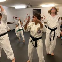 Texas Isshinryu Karate Kai of Denton ico