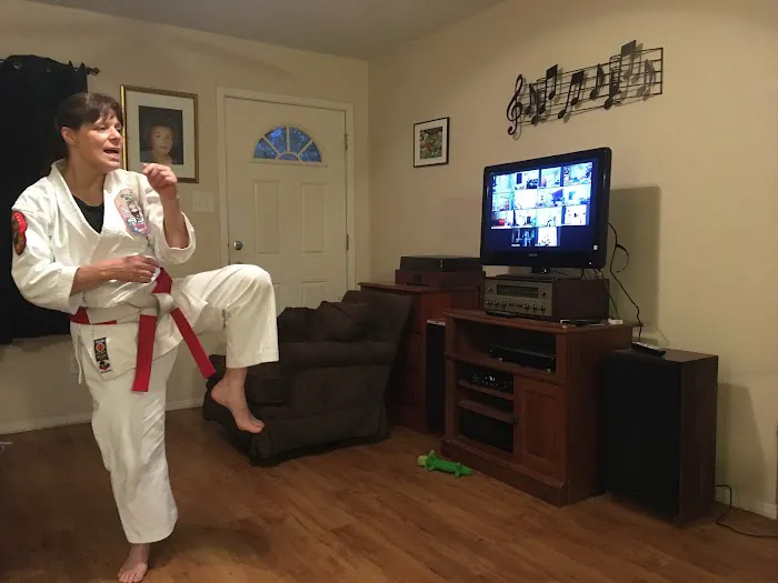 Texas Isshinryu Karate Kai of Denton Picture 2