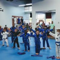 The ONE Martial Arts/Taekwondo ico