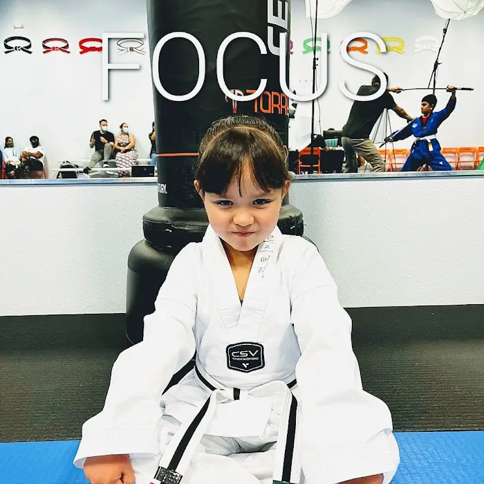 The ONE Martial Arts/Taekwondo Picture 6