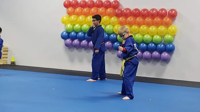 The ONE Martial Arts/Taekwondo Picture 5