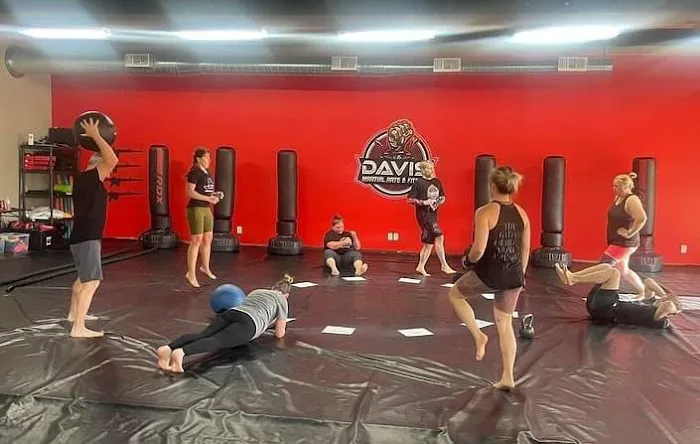 Davis Martial Arts & Fitness Picture 1