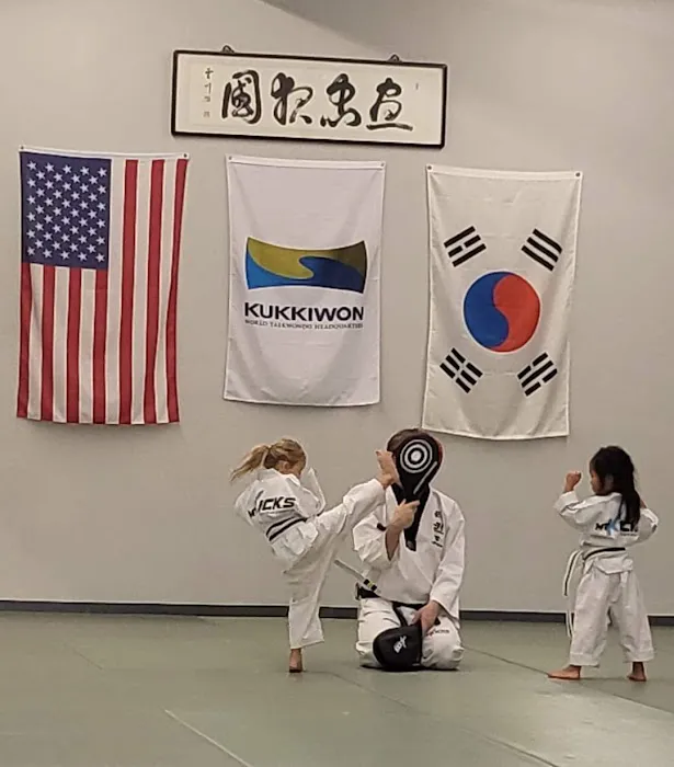 Mt Kicks TaeKwonDo & Martial Arts Picture 2