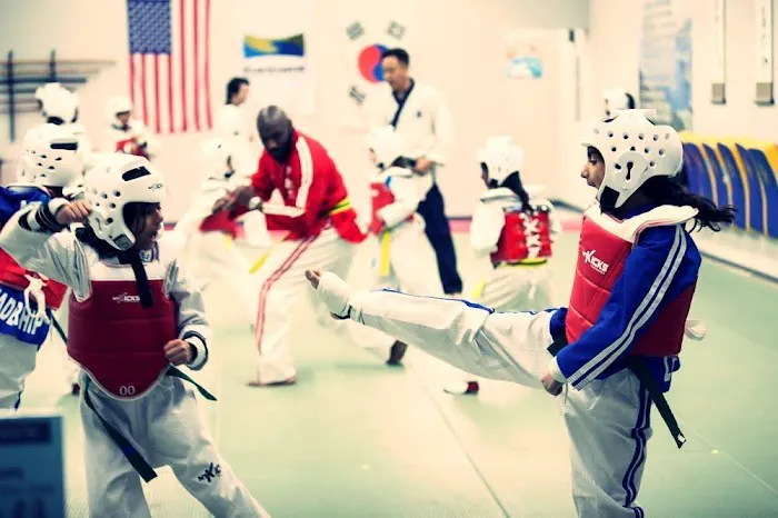Mt Kicks TaeKwonDo & Martial Arts Picture 5