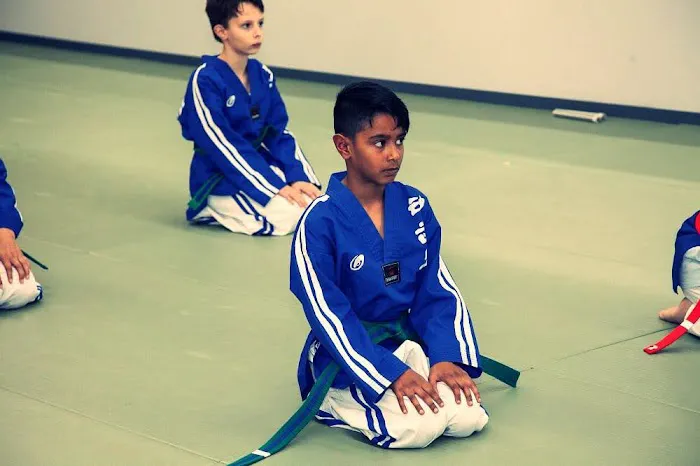 Mt Kicks TaeKwonDo & Martial Arts Picture 9