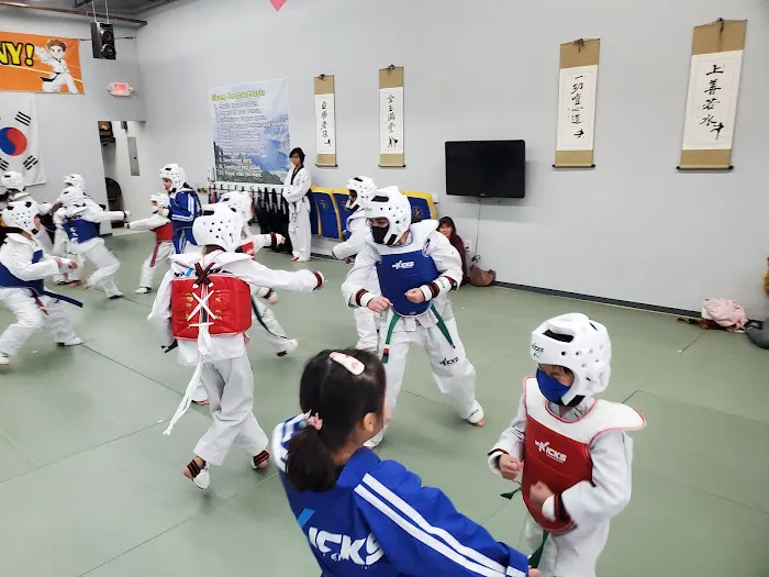Mt Kicks TaeKwonDo & Martial Arts Picture 10