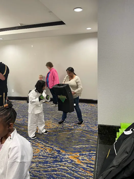 Premier Martial Arts Mckinney/Fairview Picture 1