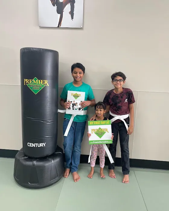 Premier Martial Arts Mckinney/Fairview Picture 2