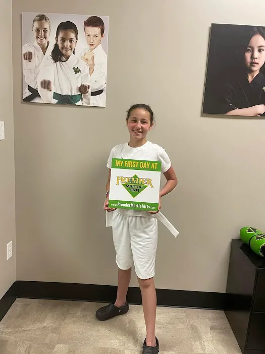 Premier Martial Arts Mckinney/Fairview Picture 3