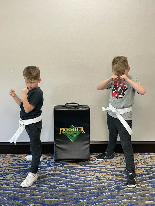 Premier Martial Arts Mckinney/Fairview Picture 5