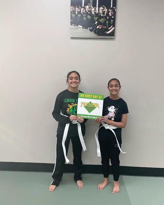 Premier Martial Arts Mckinney/Fairview Picture 9