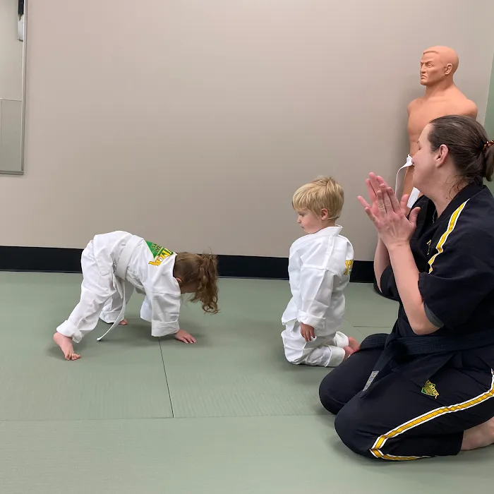 Premier Martial Arts Mckinney/Fairview Picture 10