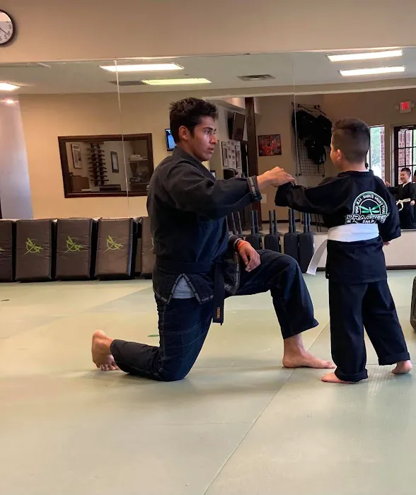 Dragonfly Martial Arts Picture 2