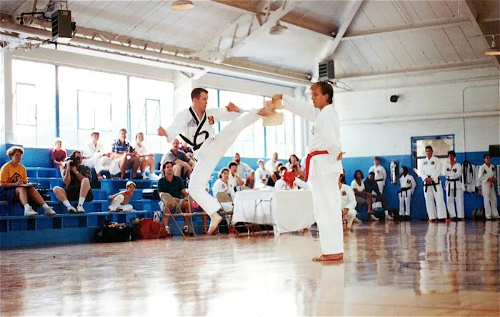 Davis Taekwondo America Picture 4