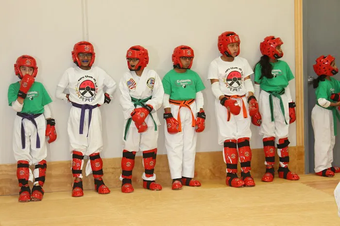 Davis Taekwondo America Picture 8